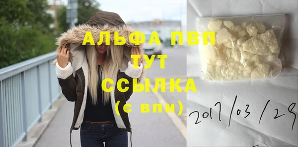 ECSTASY Покров