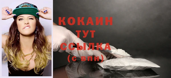 ECSTASY Покров
