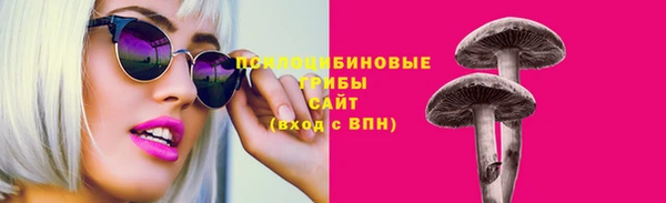 ECSTASY Покров