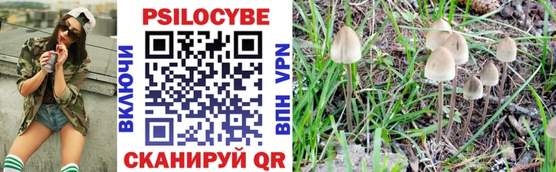 Псилоцибиновые грибы Psilocybe  Апатиты 