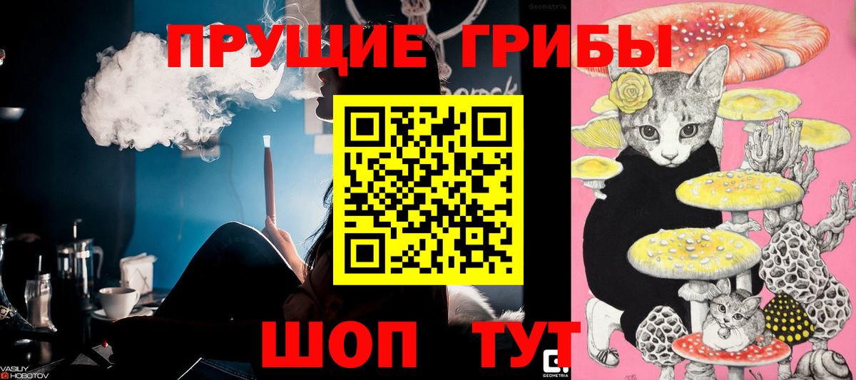 Псилоцибиновые грибы прущие грибы Апатиты