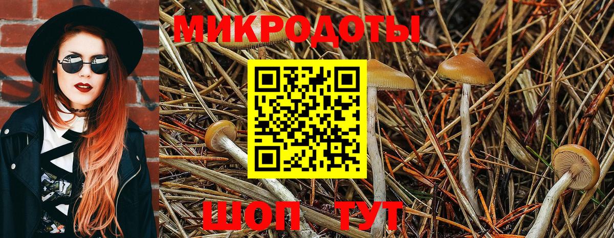Галлюциногенные грибы Cubensis Апатиты